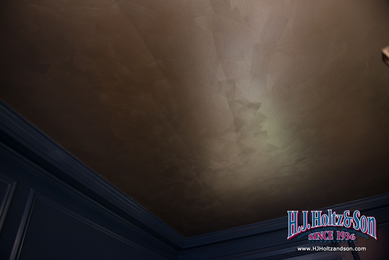 Symphony House Master Bedroom Ceiling Image